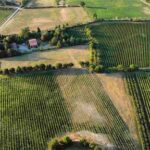 Vino, Rontana festeggia 25 anni con una nuova cantina a Brisighella