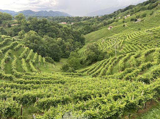 “Marna del Bacio”: a San Pietro di Barbozza nasce Extra Brut di Andreola