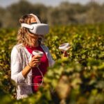 Vino, la realtà virtuale tra le vigne di Bolgheri di Campo alla Sughera