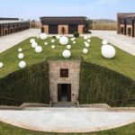 Vino, Oniwines continua a crescere: acquisita Cantina Pico Maccario