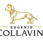 Vino, la Cantina Collavini crea il profumo “Ribolla per Cani”