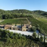 Vino, debutta Aminta, nuova Tenuta di Famiglia Cecchi a Montalcino