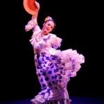 Al via la quarta edizione del FestivalArteInVivo
