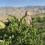 Vino, “Insieme si…sboccia”: enologi e Cantine a confronto a Firenze