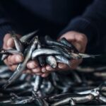 Coldiretti: in proposta bilancio Ue fondi pesca ridotti di 2/3