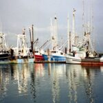 Uila: pesca sacrificata in proposta bilancio Ue