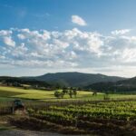 Umbria Top propone per l’estate rosati, Vermouth e cocktail di vino