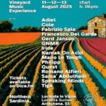 Vineyard Music Experience: vino e musica elettronica in vigna in Gallura