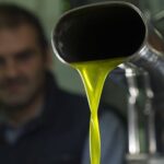 Olio Evo, Dal 29 al 31 gennaio 2026 a Bari torna “EVOLIO Expo”