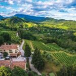 “Cinema in Cantina”, Guidolin: sport e vino per cultura e territorio