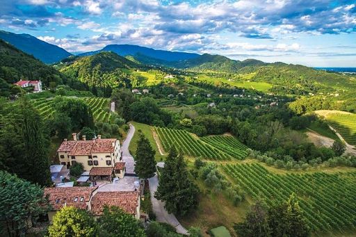 “Cinema in Cantina”, Guidolin: sport e vino per cultura e territorio