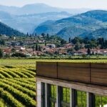 Cantina Buglioni: vino tra accoglienza ed enoturismo nel Veronese