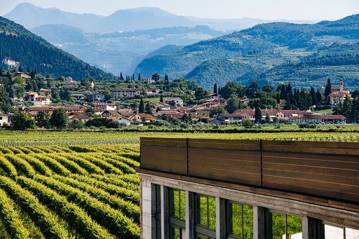 Cantina Buglioni: vino tra accoglienza ed enoturismo nel Veronese