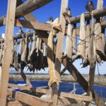 Il 14 settembre a Sandrigo in programma l’11esimo “Bacco e Bacalà”