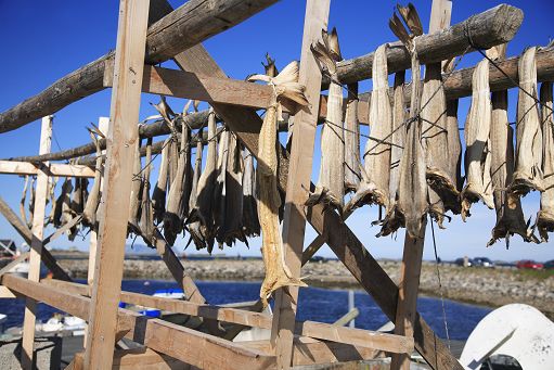 Il 14 settembre a Sandrigo in programma l’11esimo “Bacco e Bacalà”
