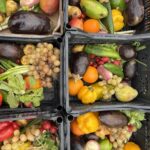 Presentato alla Camera Frigorifero Solidale di Cuki Save the Food