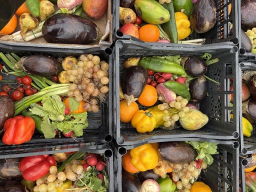 Presentato alla Camera Frigorifero Solidale di Cuki Save the Food