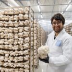Dai pasti surgelati al software HR: Barilla premia 3 startup per Good food makers