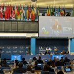 Martina (Fao): contro crisi servono nuove rotte del cibo