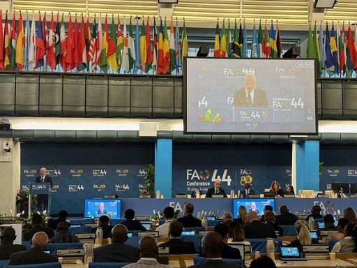 Martina (Fao): contro crisi servono nuove rotte del cibo