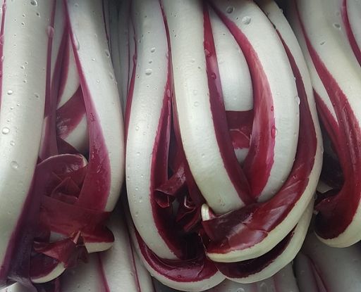 Consorzio Radicchio Treviso e Castelfranco Igp compie 30 anni
