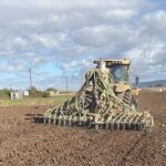 A Montalcino secondo workshop su risultati progetto farro toscano