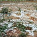 Chiesto stato calamità per grandinata luglio 2026 bella Bat