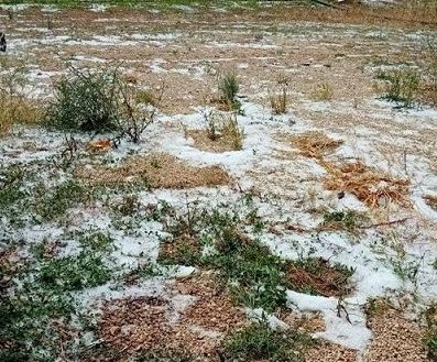Chiesto stato calamit&agrave; per grandinata luglio 2026 bella Bat