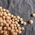 Farina di soia, mercato teso in Ue e rincari marcati in Italia